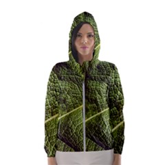 Green Leaf Giant Rhubarb Mammoth Sheet Hooded Windbreaker (women) by Wegoenart