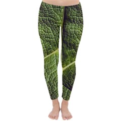 Green Leaf Giant Rhubarb Mammoth Sheet Classic Winter Leggings by Wegoenart