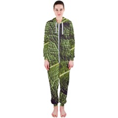 Green Leaf Giant Rhubarb Mammoth Sheet Hooded Jumpsuit (ladies) 