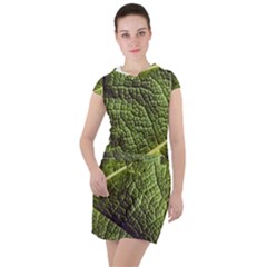 Green Leaf Giant Rhubarb Mammoth Sheet Drawstring Hooded Dress