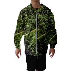 Green Leaf Giant Rhubarb Mammoth Sheet Hooded Windbreaker (kids) by Wegoenart