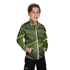 Green Leaf Giant Rhubarb Mammoth Sheet Windbreaker (kids) by Wegoenart