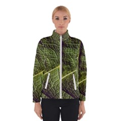 Green Leaf Giant Rhubarb Mammoth Sheet Winter Jacket by Wegoenart