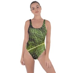 Green Leaf Giant Rhubarb Mammoth Sheet Bring Sexy Back Swimsuit by Wegoenart