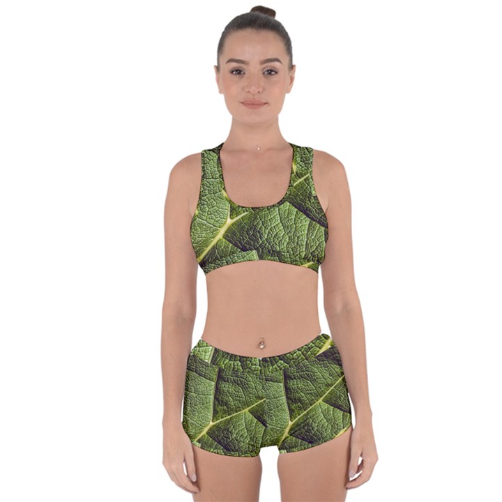 Green Leaf Giant Rhubarb Mammoth Sheet Racerback Boyleg Bikini Set