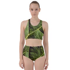 Green Leaf Giant Rhubarb Mammoth Sheet Racer Back Bikini Set by Wegoenart