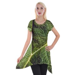 Green Leaf Giant Rhubarb Mammoth Sheet Short Sleeve Side Drop Tunic by Wegoenart