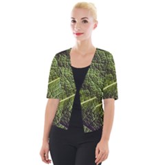 Green Leaf Giant Rhubarb Mammoth Sheet Cropped Button Cardigan by Wegoenart