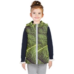 Green Leaf Giant Rhubarb Mammoth Sheet Kids  Hooded Puffer Vest by Wegoenart