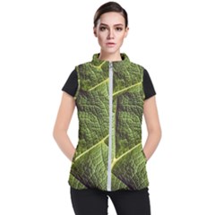 Green Leaf Giant Rhubarb Mammoth Sheet Women s Puffer Vest by Wegoenart