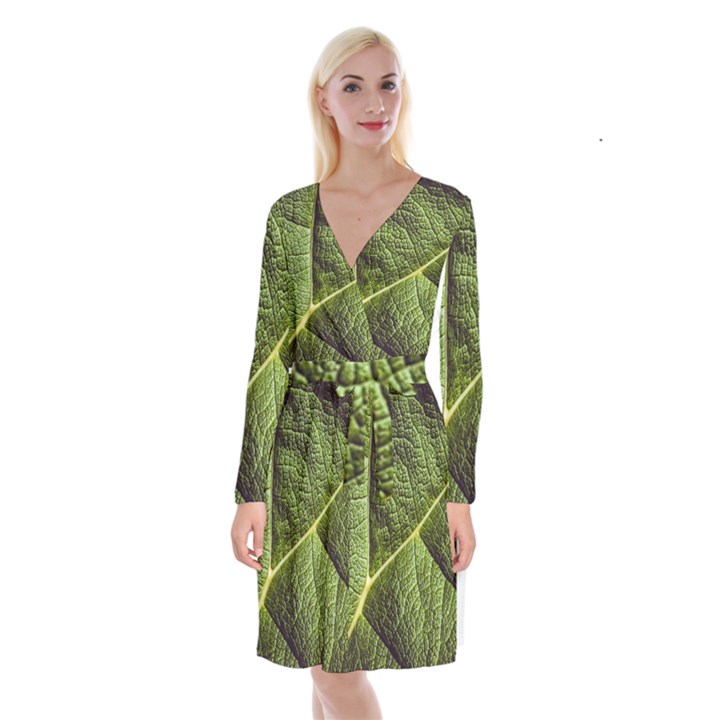 Green Leaf Giant Rhubarb Mammoth Sheet Long Sleeve Velvet Front Wrap Dress