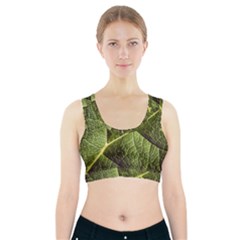 Green Leaf Giant Rhubarb Mammoth Sheet Sports Bra With Pocket by Wegoenart