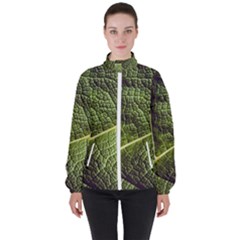 Green Leaf Giant Rhubarb Mammoth Sheet High Neck Windbreaker (women) by Wegoenart