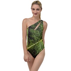 Green Leaf Giant Rhubarb Mammoth Sheet To One Side Swimsuit by Wegoenart