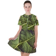 Green Leaf Giant Rhubarb Mammoth Sheet Short Sleeve Shoulder Cut Out Dress  by Wegoenart