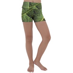 Green Leaf Giant Rhubarb Mammoth Sheet Kids  Lightweight Velour Yoga Shorts by Wegoenart