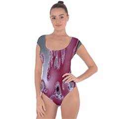 Fractal Gradient Colorful Infinity Short Sleeve Leotard  by Wegoenart