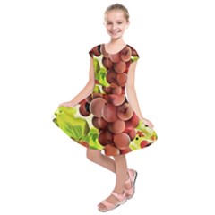 Grape Harvest Nature Figure Rustic Kids  Short Sleeve Dress by Wegoenart