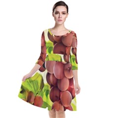 Grape Harvest Nature Figure Rustic Quarter Sleeve Waist Band Dress