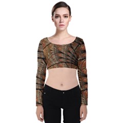 Fractals Artistic Digital Design Velvet Long Sleeve Crop Top by Wegoenart