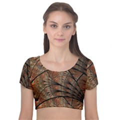 Fractals Artistic Digital Design Velvet Short Sleeve Crop Top  by Wegoenart