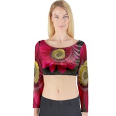 Fantasy Flower Fractal Blossom Long Sleeve Crop Top by Wegoenart