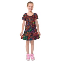 Dance  Of The  Forest 1 Kids  Short Sleeve Velvet Dress