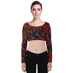 Dance  Of The  Forest 1 Velvet Long Sleeve Crop Top