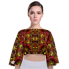 Abstract #8   I   Autumn 6000 Tie Back Butterfly Sleeve Chiffon Top