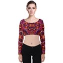 Abstract #8   I   Carmine 6000 Velvet Long Sleeve Crop Top View1