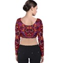 Abstract #8   I   Carmine 6000 Velvet Long Sleeve Crop Top View2