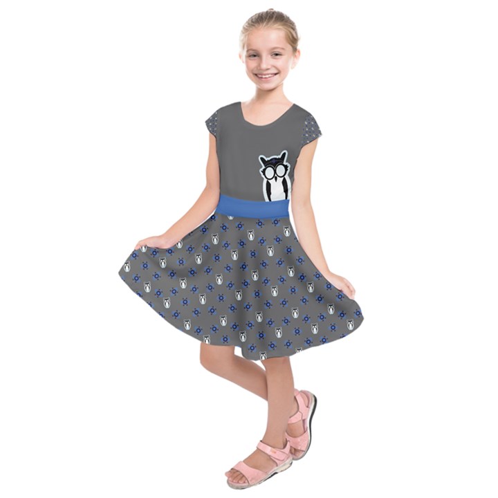 Blue/Gray Girl Owl Dress (Youth)