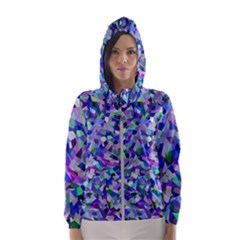 End Of Winter Hooded Windbreaker (women) by artifiart