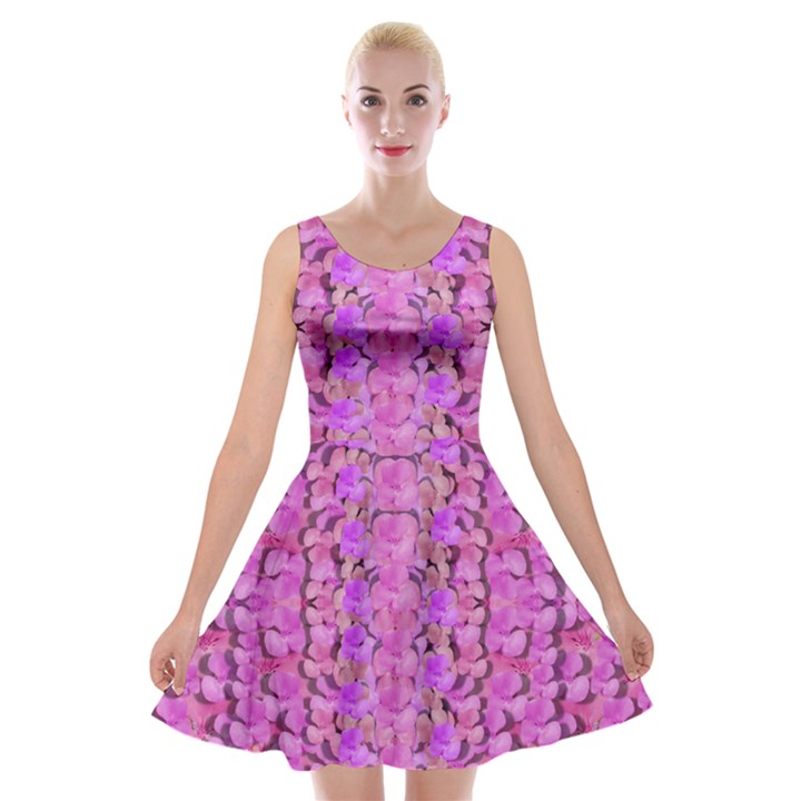 Paradise Blossom Tree On The Ornate Sakura Mountain Velvet Skater Dress