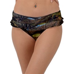 Landscape Quairaing Scotland Frill Bikini Bottom