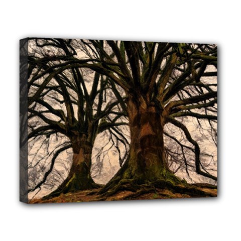 Ent Treant Trees Tree Bark Barks Deluxe Canvas 20  X 16  (stretched) by Pakrebo