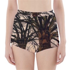 Ent Treant Trees Tree Bark Barks High-waisted Bikini Bottoms by Pakrebo