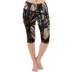 Ent Treant Trees Tree Bark Barks Lightweight Velour Cropped Yoga Leggings by Pakrebo