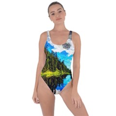 Color Lake Mountain Painting Bring Sexy Back Swimsuit by Pakrebo