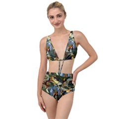 Fantasia Fantasie Color Colors Tied Up Two Piece Swimsuit by Pakrebo