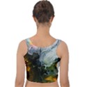 Art Abstract Painting Velvet Crop Top View2