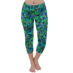 Plega Capri Winter Leggings 