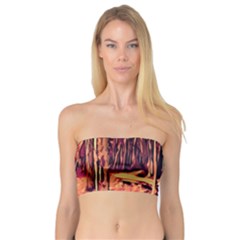 Forest Autumn Trees Trail Road Bandeau Top by Pakrebo