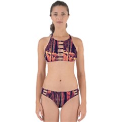 Forest Autumn Trees Trail Road Perfectly Cut Out Bikini Set by Pakrebo