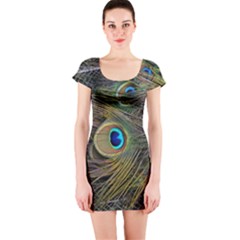 Peacock Tail Feathers Close Up Short Sleeve Bodycon Dress by Pakrebo