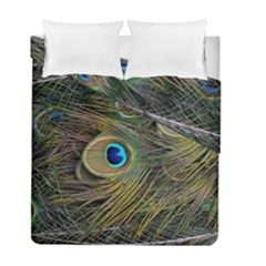 Peacock Tail Feathers Close Up Duvet Cover Double Side (full/ Double Size) by Pakrebo