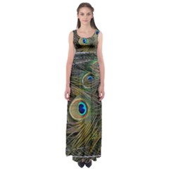 Peacock Tail Feathers Close Up Empire Waist Maxi Dress by Pakrebo