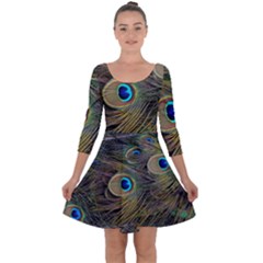 Peacock Tail Feathers Close Up Quarter Sleeve Skater Dress by Pakrebo