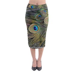 Peacock Tail Feathers Close Up Midi Pencil Skirt by Pakrebo