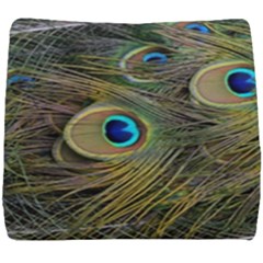 Peacock Tail Feathers Close Up Seat Cushion by Pakrebo